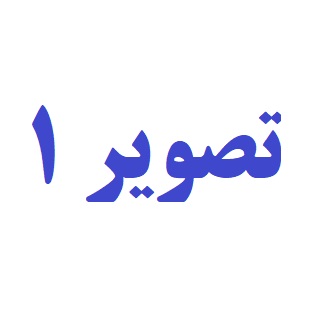 گالری طلا زرین